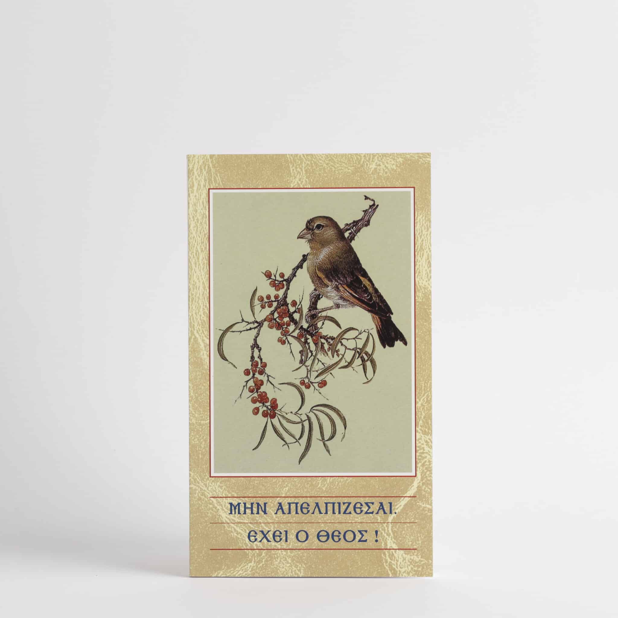 Не очајавајте Бог има